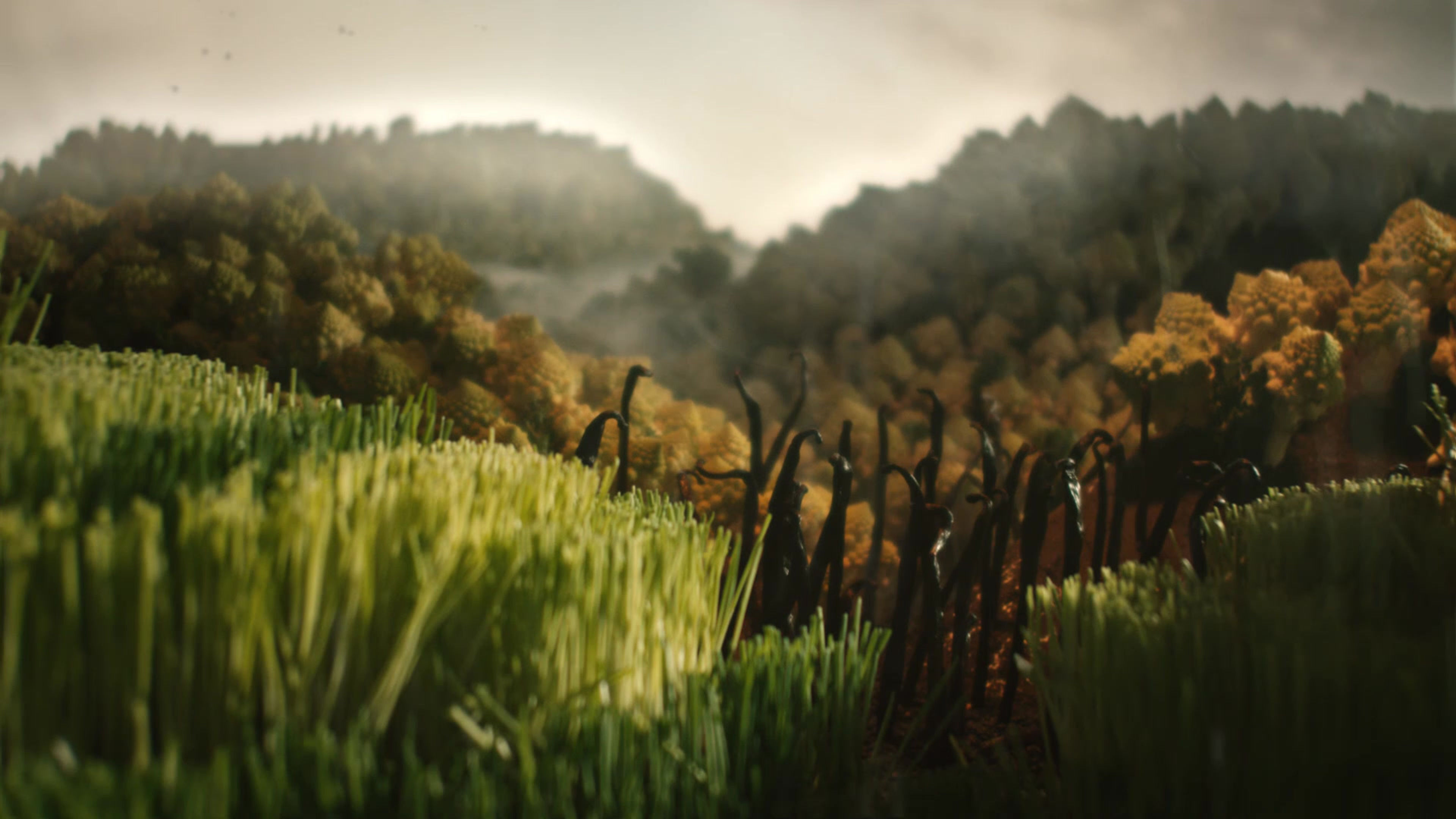 Abu Kass, Story of Creativity Cooked in your Kitchen TVC